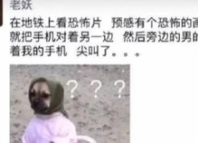 笑死人不偿命系列沙雕网名,笑死人不偿命的沙雕网名盘点