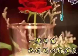早安打一字,揭秘‘早安字谜背后的智慧”