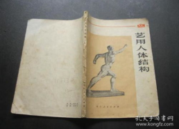 艺用人体结构精华版,艺用人体结构精华版概览