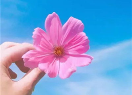 简单的干净头像漂亮,一键生成个性干净头像指南”