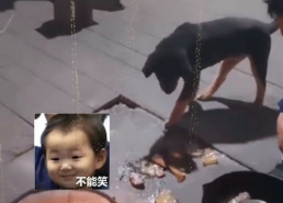 笑死人不偿命的图片,笑死人不偿命的图片大盘点